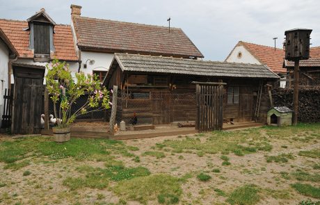 Bauernhof im Dorfmuseum Mönchhof